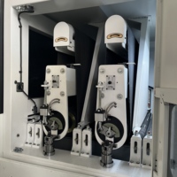 Machine à ébavurer le métal avec brosse et ponçage à bande