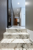Incurvé personnalisé intérieur extérieur Lobby jardin blanc gris marches en marbre naturel