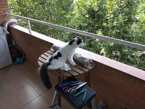 Hot Bán Tùy Chỉnh <span class=keywords><strong>D</strong></span>ịch Vụ Cắt Mạnh Mẽ Nylon HDPE PP Pe Trong Suốt Lưới An Toàn <span class=keywords><strong>Net</strong></span> Nhiệm Vụ Nặng Nề Mèo Ban Công Cử<span class=keywords><strong>a</strong></span> Sổ Mù<span class=keywords><strong>a</strong></span> Thu Bảo Vệ - Product Image 3