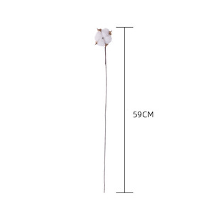 High Quality Indoor DIY Natural Dried <strong>Cotton</strong> <strong>Stems</strong> Single Branch Artificial <strong>Cotton</strong> Flower for Christmas Floral Decor Wholesale - Product Image 5