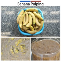 0,5-1t RVS 304 Fruitklopper/Pulpmachine met motor voor hoge productiviteit mango, pruim, sinaasappel, banaan puree & jam