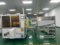 Impresora UV de Alta Velocidad para Tubos de Plástico Blando, para Tubos Cosméticos y Laminados, con Dispositivo de Descarga Automática con Control Servo