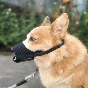 공장 제작 개 입마개, 개가 짖거나 과도하게 짖는 것을 효과적으로 방지합니다. - Product Image 6