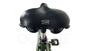 QUEENE/OEM 36V 2A 전기 자전거 고탄소강 포크 전기 자전거 25 km/h 접이식 전기 사이클링 - Product Image 3