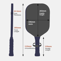 Zhensheng – Ensemble de raquettes de pickleball en fibre de verre personnalisées, légères, pour l'exercice en extérieur – Promotion en gros