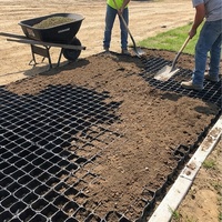 Grille en plastique HDPE perméable pour allée de stationnement, renforcement de l'allée, système de drainage et de gazonnière