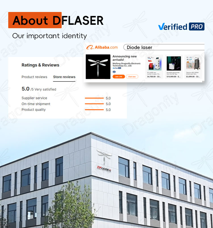 Revolutionize Your Beauty Business with Cutting-Edge russian type diode ...