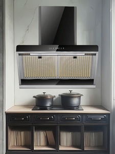 Venta caliente OEM/ODM Potente succión <span class=keywords><strong>Industrial</strong></span> Comercial Cocina Escape Campanas de humo <span class=keywords><strong>Campana</strong></span> <span class=keywords><strong>extractora</strong></span> - Product Image 6