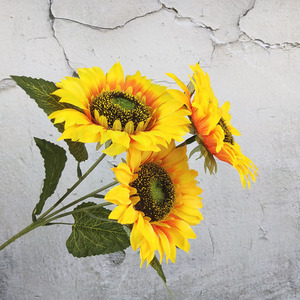 K020610 <span class=keywords><strong>Girasoli</strong></span> Artificiali Decorativi - Product Image 2