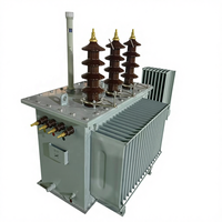 Transformador de Distribución Sumergido en Aceite de Alta Tensión 35kV con Bobinado de Cobre para Proyectos de Suministro de Energía Eléctrica (Oferta Especial)