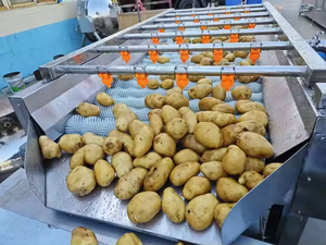 Laveuse à brosse à économie d'énergie <span class=keywords><strong>au</strong></span> meilleur <span class=keywords><strong>prix</strong></span>, conception facile d'entretien pour les petites usines de transformation de fruits - Product Image 2
