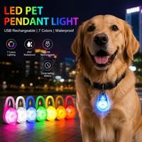 Collier lumineux LED rechargeable USB pour animaux de compagnie, 7 couleurs clignotantes, étanche, pour la sécurité nocturne des chiens
