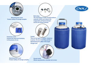 Contenedor de Nitrógeno Líquido para Inseminación Artificial, Tanque de Semen para Ganado Pequeño de 3L, Recipiente Criogénico de Almacenamiento Dewar de 3 Litros - Product Image 3