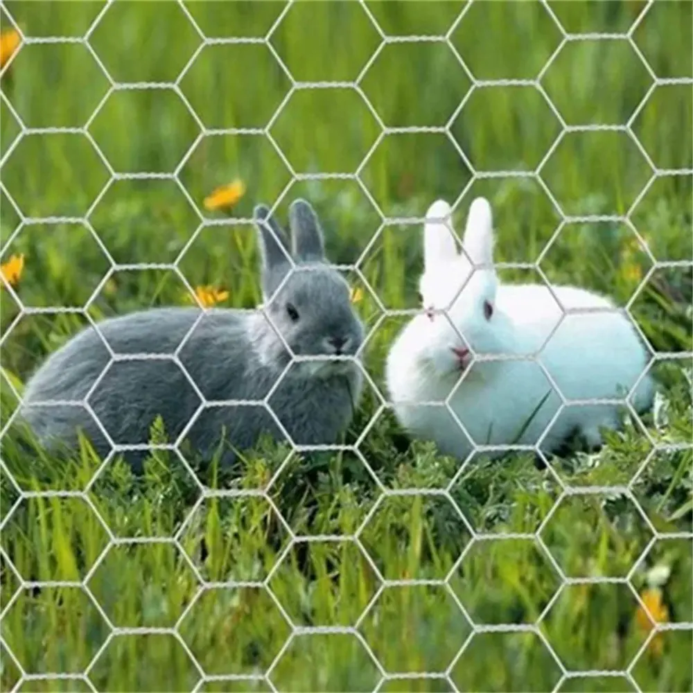 high quality 3 ft 4 ft 6 ft High Half inch rabbit cage chicken fence Hexagonal Mesh Bird net chicken wire fence