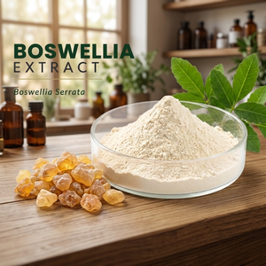 Extracto de Corteza de Boswellia Serrata en Polvo con Ácidos Boswellicos al 65% para Suplementos Dietéticos y Formulaciones Herbales - Product Image 2