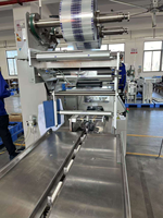 Machine d'emballage à flux horizontal Ruipuhua ZP-530S automatique de fruits aliments frais légumes