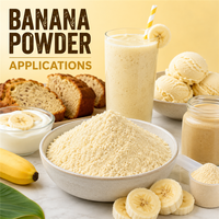 Poudre de fruits de qualité supérieure pour smoothies, préparations pour boissons, confiseries et applications laitières – Poudre de banane