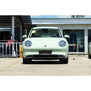 Nouvelle mode confortable 2024 nouvelle édition la <span class=keywords><strong>plus</strong></span> <span class=keywords><strong>fiable</strong></span> meilleure vente Ora bon chat 5 places voiture électrique Ora bon chat - Product Image 3