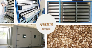 Machine à <span class=keywords><strong>ail</strong></span> <span class=keywords><strong>noir</strong></span> de grande capacité de qualité alimentaire Ferment/<span class=keywords><strong>Prix</strong></span> de la machine de fermentation/fermentation d'<span class=keywords><strong>ail</strong></span> <span class=keywords><strong>noir</strong></span> - Product Image 6