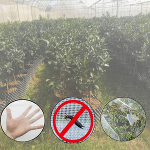 <span class=keywords><strong>Filet</strong></span> anti-insectes pour serre commerciale, Protection contre les insectes pour plantes de jardin et Fruits - Product Image 2