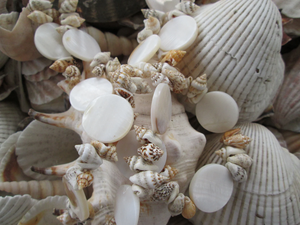 Cordon personnalisé en coquillages naturels, résistant à l'eau, longue chaîne pour téléphone portable, porte-carte d'identité, chaîne de téléphone portable personnalisée en coquillages - Product Image 3