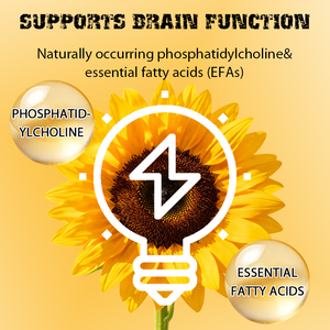 Poudre de lécithine de tournesol biologique OEM/ODM très vendue pour la pâtisserie et les smoothies, soutien pour la santé du cerveau, de la peau, des cheveux, du foie et du cœur - Product Image 3