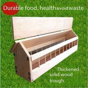 Platane respetuoso con el medio ambiente madera Pino paloma comedero antiaspersión cinturón cubierta caja de alimentos portador caja de arena comedero-Paloma - Product Image 2