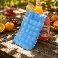 Sacs à glaçons auto-scellants en LDPE de qualité alimentaire, 28 compartiments, jetables, étanches, pour la congélation des boissons