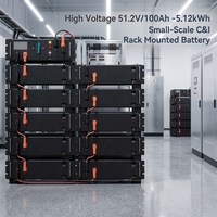 Baterai Surya HV Solid State LiFePO4 Rakit Rak BOS-W-PDU-2 51.2V 100Ah 6000 Siklus