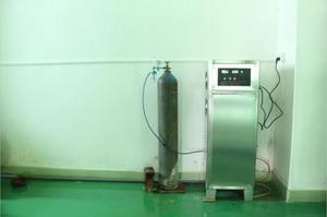 Generador de Ozono de 30 g/h para Uso Doméstico, Purificador de Agua para Piscinas, Ozonizador - Product Image 6