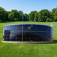 Solution intégrée de centrale biogaz pour la digestion anaérobie des déchets organiques de fumier d'élevage avec réservoir GFS