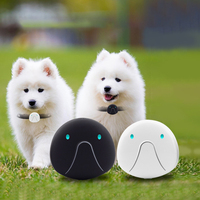 Collier de suivi de chat GPS étanche Tractive extérieur dispositif de suivi de chien de compagnie intelligent traqueur de localisation Anti-perte pour chiens