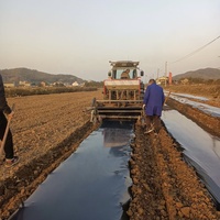 Rouleau de film soufflant en PE pour le désherbage agricole du fabricant Paillis en plastique noir et blanc moulé sur mesure