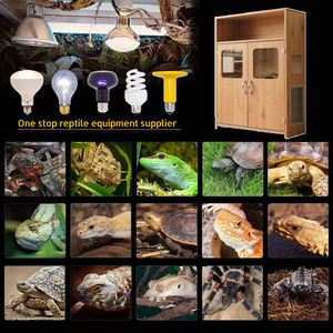 Woodville venta al por mayor personalizado impermeable selva reptil vivero tanques de vidrio reptiles terrario recinto - Product Image 5