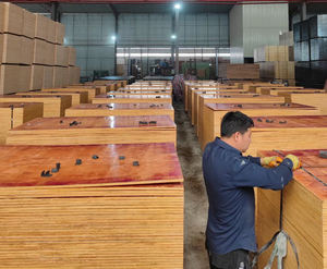 סיטונאי 1220*2440 מ\\\"מ E0 מלמין מודרני מלוטש פורניר ליבנה 12 מ\\\"מ 15 מ\\\"מ 18 מ\\\"מ דיקט לבנייה פנימית - Product Image 4