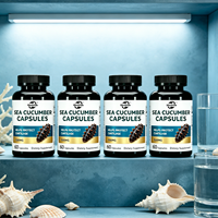 Capsules de Concombre de Mer Séché, Complément Alimentaire, Prix de Gros Usine Chine, OEM, Marque Privée, Extrait de Concombre de Mer, Capsules Dures