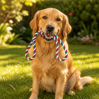 Nouveauté : Jouet de Noël pour chien, jouet en corde de coton pour chiot, mignon, dessin animé, pour le nettoyage des dents des animaux de compagnie