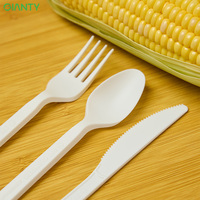 Ensemble de couverts jetables modernes pour fêtes, certifiés FSC, biodégradables, compostables, en CPLA PLA, couteau de 7 pouces