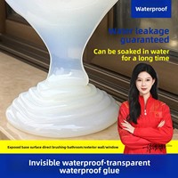 Revêtement imperméable pour murs extérieurs Shen, résistant au soleil, scellant transparent, matériau d'étanchéité polyurée, forte adhérence, hydrofuge