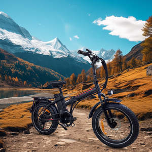 Vélo électrique pliable à pneus larges JLM DZ-2031, 500W 48V 13Ah, Shimano 7 vitesses, pour adultes, vente en gros depuis l'entrepôt européen – Direct Usine - Product Image 2