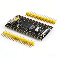 Carte de développement STM32 STM32H7B0 25 MHz Linux 3,3 V 1 Mo SRAM pour convertisseur DC/DC et divers projets