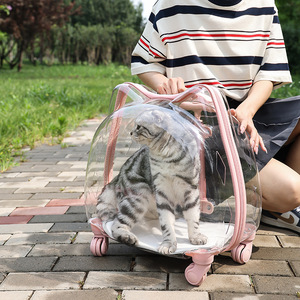 Maleta con ruedas para mascotas, transportín para gatos, totalmente transparente, transpirable, tipo cápsula espacial, portátil, para gatos y perros pequeños - Product Image 4