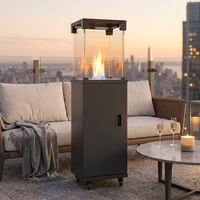 Chauffage mobile autonome à gaz pour intérieur avec vitre de visualisation et unité de rangement, radiateur sur roulettes pour salon et bureau à domicile