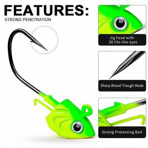 30g 35g 45g Hameçon de pêche à tête de gabarit de poisson Offset Sinker Soft Worm Jig Lure Hook for Bass Carp Fishing Tackle - Product Image 2
