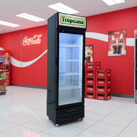 Réfrigérateur de présentation à porte vitrée pour boissons (cola et bière) le plus vendu, réfrigérateur économe en énergie