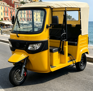 Tricycle électrique homologué CEE pour passagers, frein <span class=keywords><strong>à</strong></span> disque avant et arrière, vitesse maximale de 48 km/h, pour le transport public urbain - Product Image 1