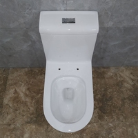 WC monobloc en céramique à siphon S-trap 300 mm, double chasse, fermeture douce, qualité supérieure, prix usine, pour villa