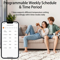 Válvula de Radiador Inteligente con Wifi, Termostato de Habitación, Control de Calefacción, Hogar Inteligente, Zigbee