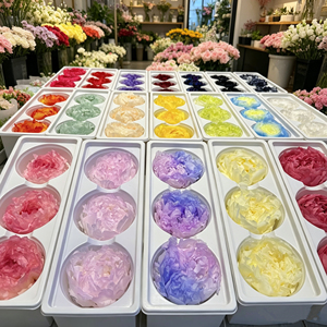 Têtes de <span class=keywords><strong>pivoines</strong></span> préservées en vrac - Fleurs éternelles naturelles et écologiques pour bouquets de mariage DIY et arrangements romantiques pour fleuristes - Product Image 1