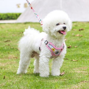 Venta al por mayor de lujo ajustable reflectante de seguridad transpirable <span class=keywords><strong>Sexy</strong></span> diseñador paso en mascota chaleco perro arnés y correa conjunto - Product Image 4